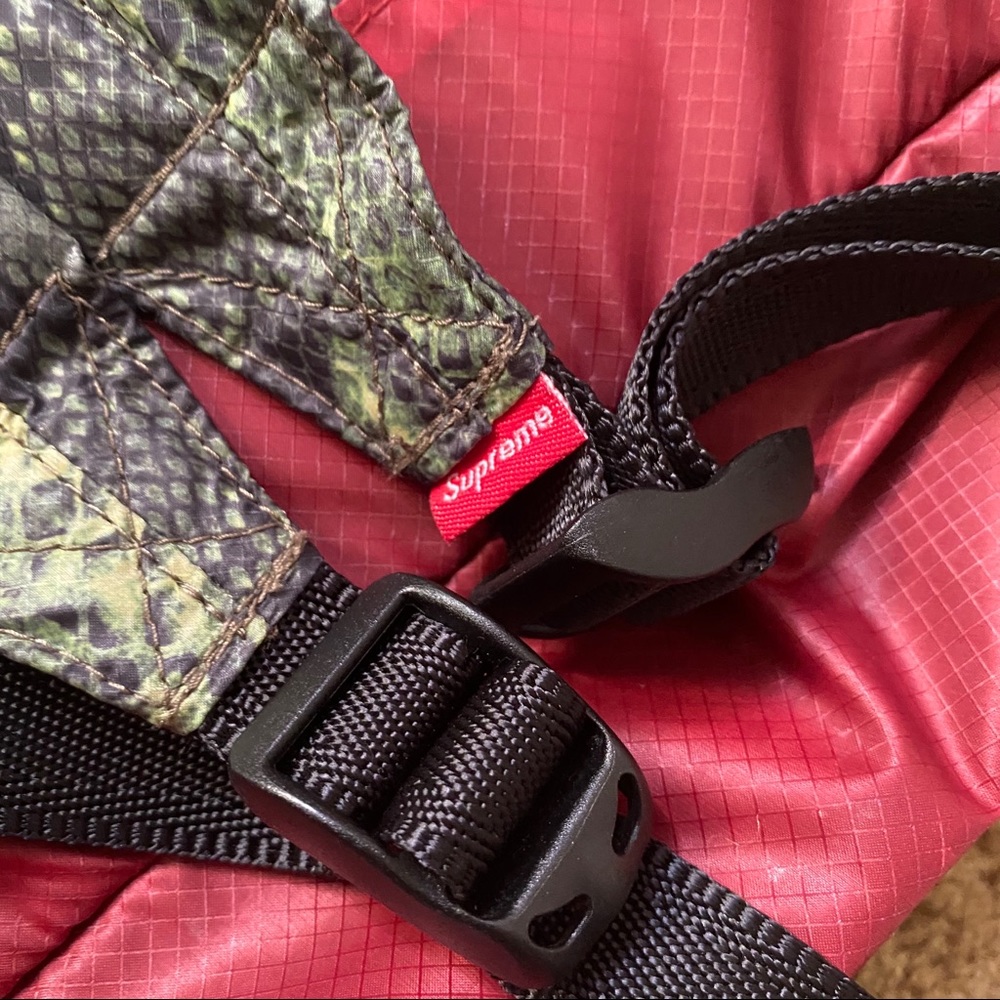 Supreme The North Face Snakeskin Backpack - Picture 4 of 5
